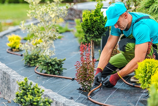 Why Digital Marketing is Important for Landscaping Businesses